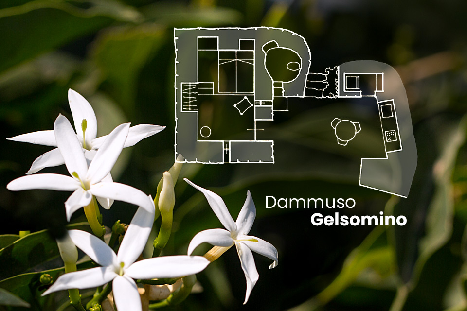 Dammuso Gelsomino - Giardini di Pantelleria